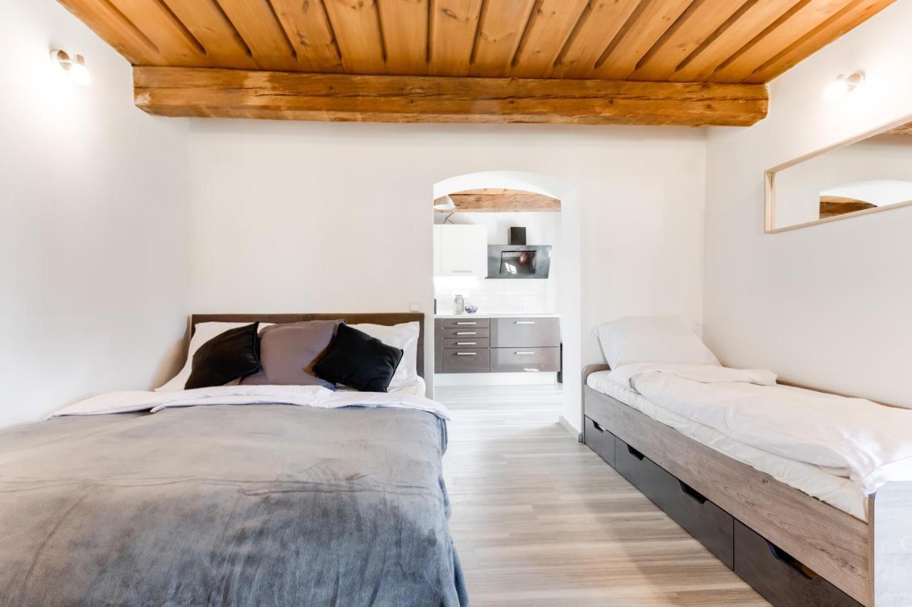 براغ Widtman Apartment المظهر الخارجي الصورة
