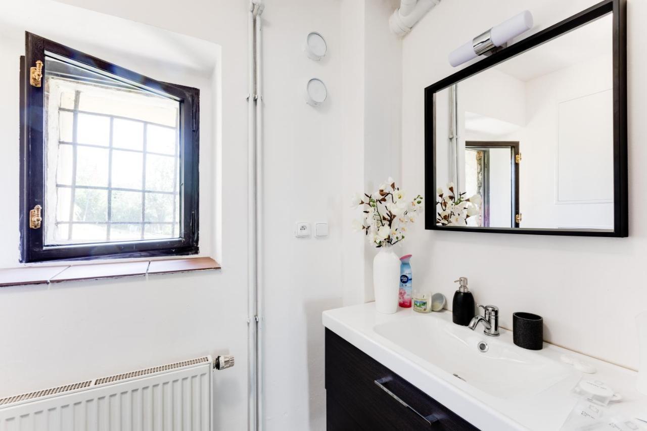 براغ Widtman Apartment المظهر الخارجي الصورة