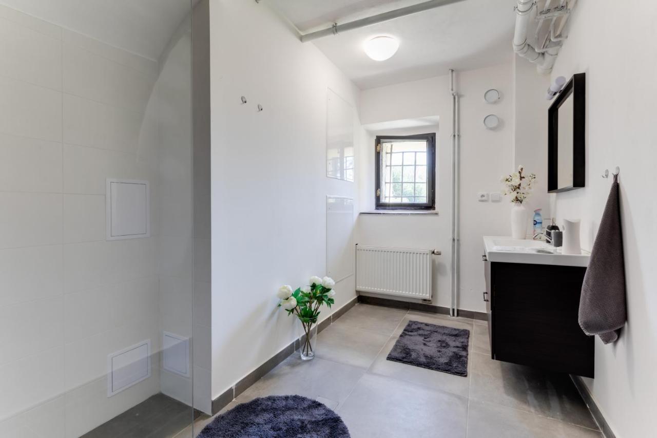براغ Widtman Apartment المظهر الخارجي الصورة